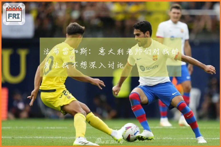 法布雷加斯：意大利老帅们对我的看法我不想深入讨论