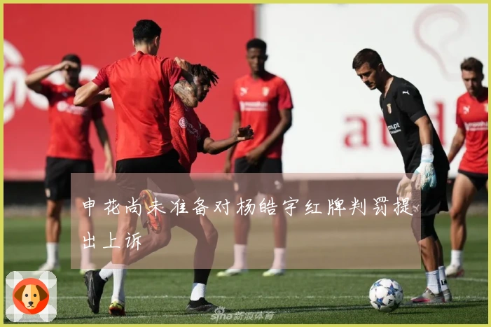 申花尚未准备对杨皓宇红牌判罚提出上诉